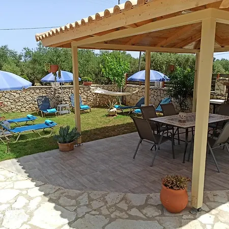 Julia تسيليفي