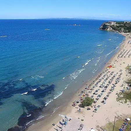 Julia تسيليفي